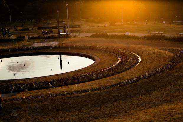 大阪府下最大級の公園「服部緑地」で夕陽を撮ろう！北摂の方は必見だ！