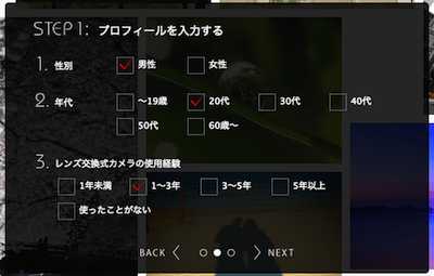 簡単なプロフィール