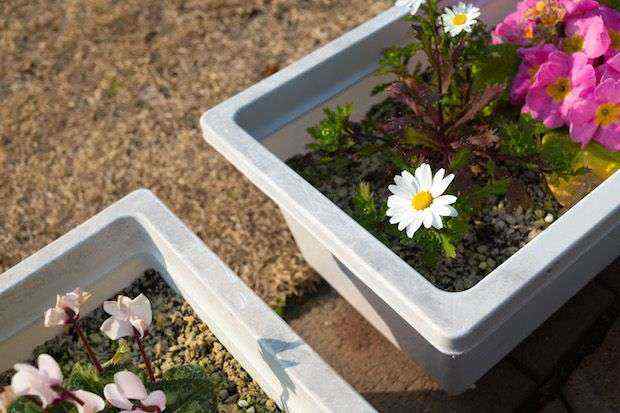 ブログ脳になっていないから続けるのがしんどいというお話